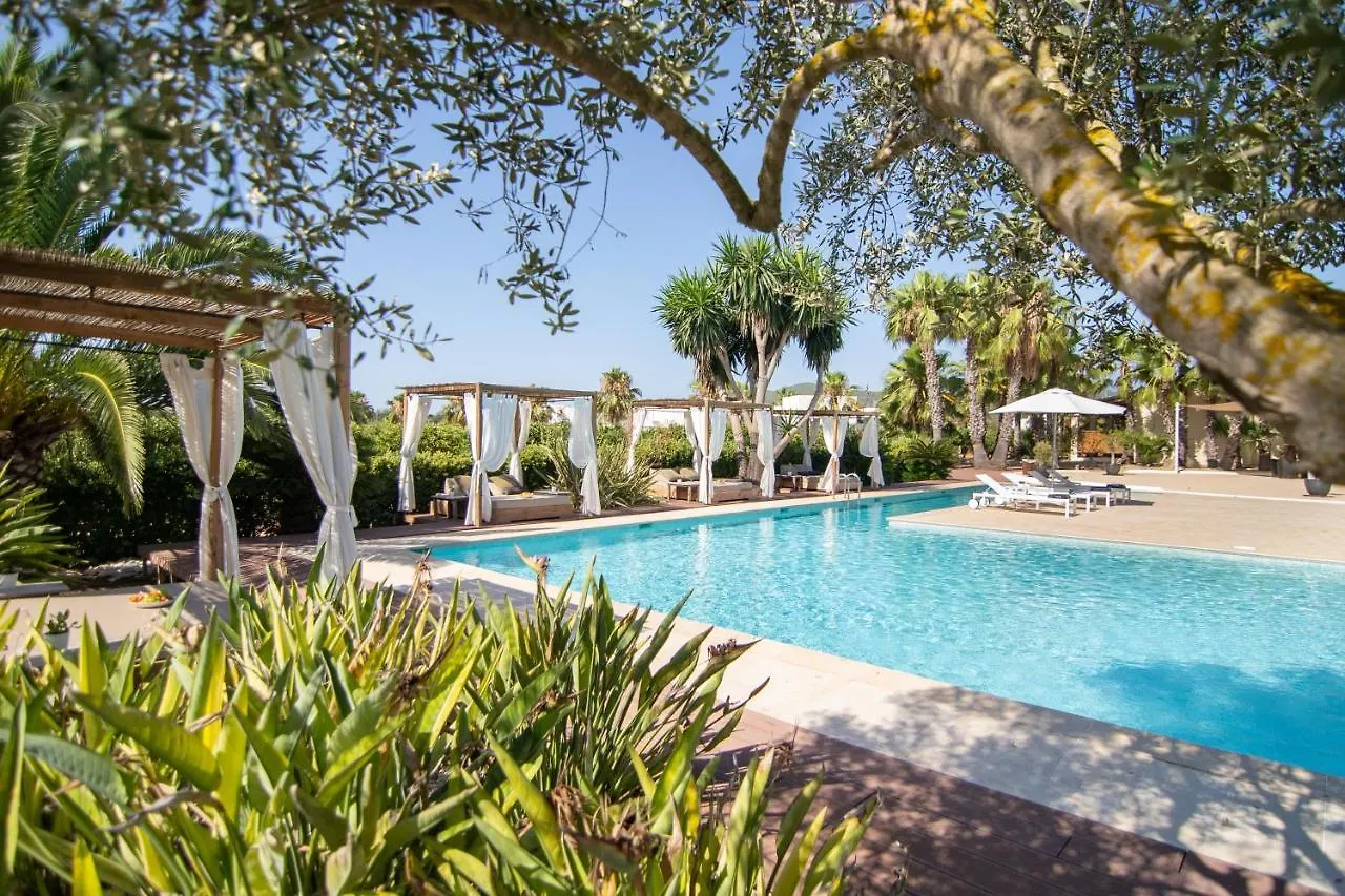 Can Jaume Private Villas By Ocean Drive Puig D’en Valls ホテル