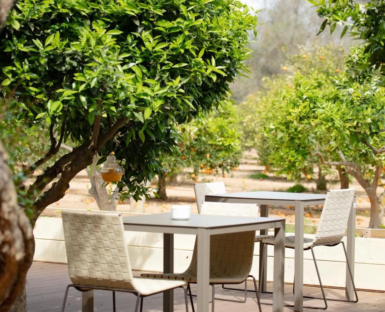 Can Jaume Private Villas By Ocean Drive Puig D'en Valls Hotel