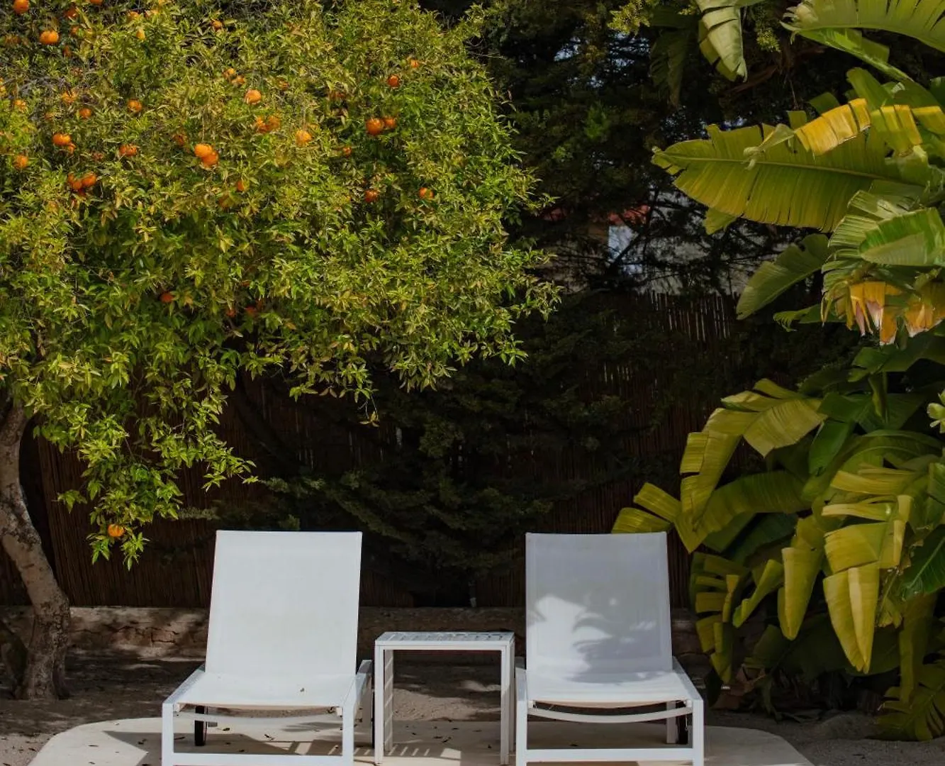 ホテル Can Jaume Private Villas By Ocean Drive Puig D’en Valls