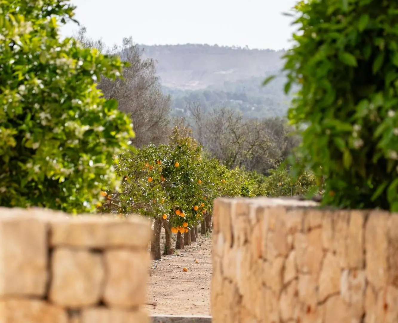 Can Jaume Private Villas By Ocean Drive Puig D'en Valls